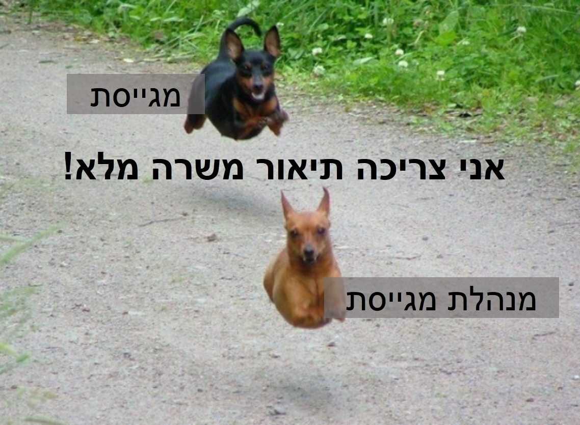 גיוס עובדים, מקורות גיוס, גיוס ברשת